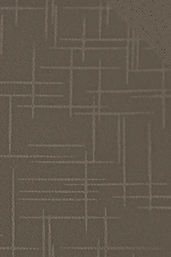 5003