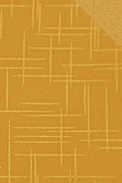 5004